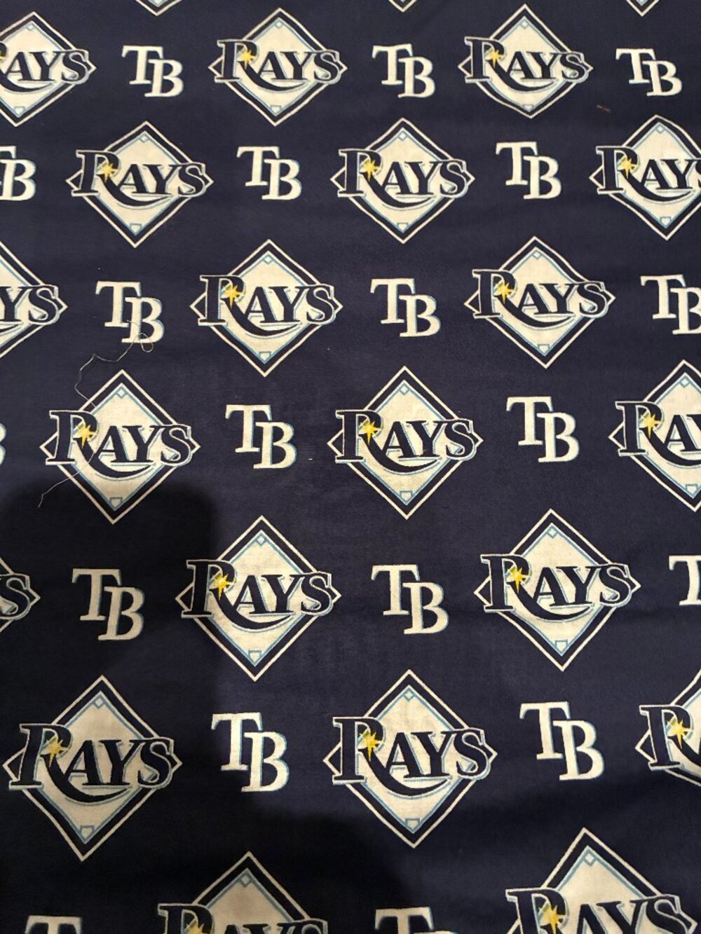 Tampa Bay Rays Fabric remnant 44" x 56" cotton